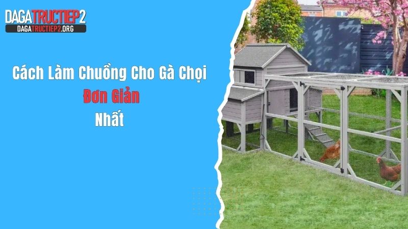 Cách Làm Chuồng Cho Gà Chọi Đơn Giản Nhất