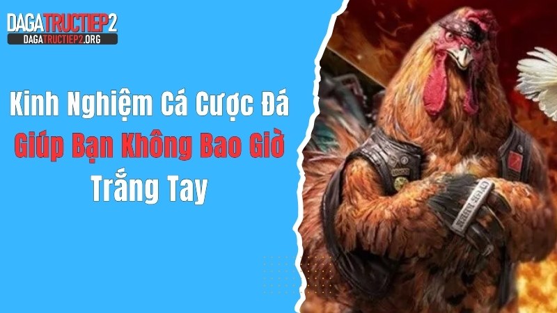 Kinh Nghiệm Cá Cược Đá Gà