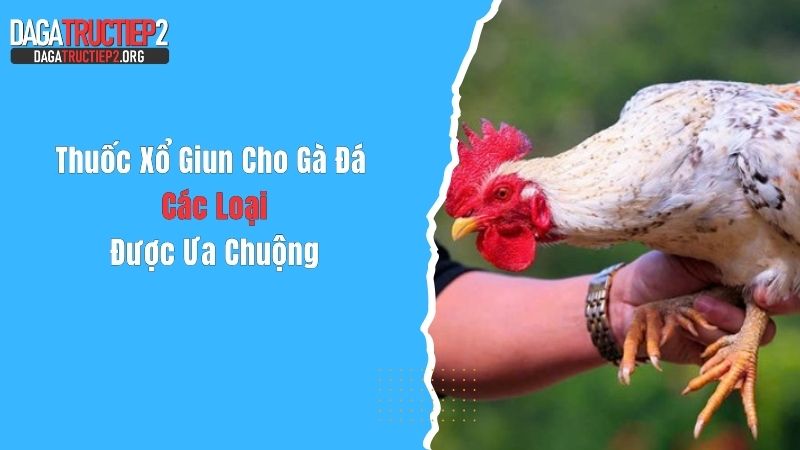 Thuốc Xổ Giun Cho Gà Đá - Các Loại Được Ưa Chuộng
